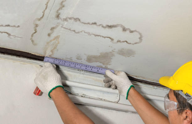 Reliable Mold Remediation contractor in Garrison, ND by Water Damage Irwin